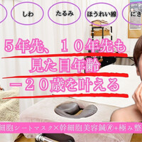 画像268