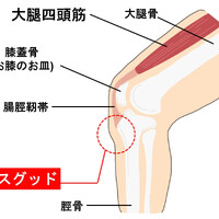 画像340