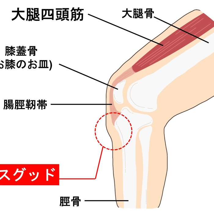 画像340